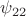 $\psi_{22}$