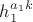 $h_{1}^{a_{1}k}$