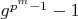 $g^{p^m-1}-1$