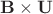 $\mathbf{B} \times \mathbf{U}$