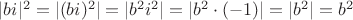 $|bi|^2=|(bi)^2|=|b^2i^2|=|b^2\cdot(-1)|=|b^2|=b^2$
