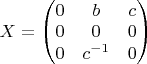 $X=\begin{pmatrix} 0 & b & c \\ 0 & 0 & 0 \\ 0 & c^{-1} & 0\end{pmatrix}$