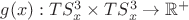 $g(x): TS^3_x\times TS^3_x\to \mathbb{R}^+$