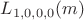 $L_{1,0,0,0}(m)$