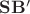 $\mathbf{SB'}$