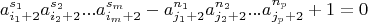 $$a_{i_1+2}^{s_1}a_{i_2+2}^{s_2}...a_{i_m+2}^{s_m}-a_{j_1+2}^{n_1}a_{j_2+2}^{n_2}...a_{j_p+2}^{n_p} +1=0$$