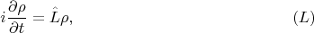 $$
i\frac {\partial \rho} {\partial t} = \hat L \rho,\eqno{(L)}
$$