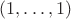 $(1,\dots,1)$