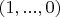 $(1,...,0)$