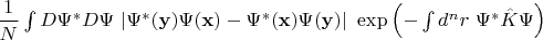 $\dfrac{1}{N}\int D\Psi ^{*} D\Psi \ |\Psi ^{*} (\mathbf{y} )\Psi (\mathbf{x} )-\Psi ^{*} (\mathbf{x} )\Psi (\mathbf{y} )|\ \exp\left( -\int d^{n} r\ \Psi ^{*}\hat{K} \Psi \right)$