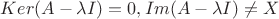 $Ker(A-\lambda I)={0}, Im(A-\lambda I)\ne X$