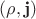 $(\rho,\mathbf{j})$