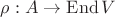$\rho:A\to {\rm End}\, V$