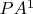 $PA^1$