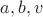 $a,b,v$