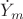 $\dot{Y}_m$