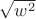 $\sqrt{w^2}$