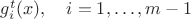 $g^t_i(x),\quad i=1,\ldots, m-1$