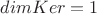 $dimKer=1$