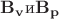 $\mathbf{B_v} \text {и} \mathbf{B_p}$