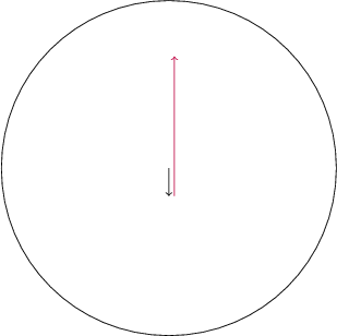$$
\begin{tikzpicture}
\draw circle (3);
\draw [->] (0, 0)--(0, -0.5);
\draw [purple, ->] (0.1, -0.5) -- (0.1, 2);
\end{tikzpicture}
$$