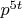 $p^{5 t}$