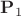 $\mathbf P_1$
