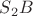 $S_2B$