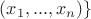 $(x_1,...,x_n)\}$