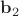 $\mathbf{b}_2$