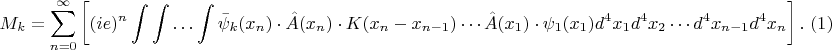 $$M_k=\sum_{n=0}^{\infty}\left [(ie)^n \int \int \ldots \int \bar{\psi}_k(x_n) \cdot \hat {A}(x_n)\cdot K(x_n-x_{n-1}) \cdots \hat {A}(x_1)\cdot \psi_1(x_1) d^4x_1 d^4x_2 \cdots d^4x_{n-1}  d^4x_n\right ].\,\, (1)$$