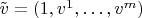 $\tilde v=(1,v^1,\ldots ,v^m)$