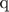 {q}