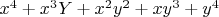 $x^4+x^3Y+x^2y^2+xy^3+y^4$