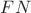 $FN$