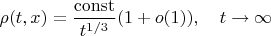 $$\rho(t,x)=\frac{\mathrm{const}}{t^{1/3}}(1+o(1)),\quad t\to\infty$$