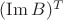 $(\operatorname{Im}B)^T$