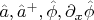 $\hat a, \hat a^+,\hat \phi, \partial_x \hat \phi$