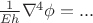 $\frac{1}{Eh} \nabla ^{4} \phi=...$