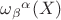 ${\omega_\beta}^\alpha(X)$