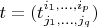 $t=(t^{i_1,\ldots,i_p}_{j_1,\ldots,j_q})$