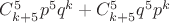 $C^5_{k+5}p^5q^k +C^5_{k+5}q^5p^k $