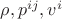 $\rho,p^{ij},v^i$