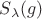$S_{\lambda} (g)$