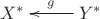 $\xymatrix{X^*&Y^*\ar[l]_g }$