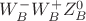 $W_B^-W_B^+Z_B^0$