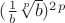 $(\frac{1}{b}  \sqrt[p]{b})^2^p$