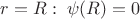 $r=R:\;\psi(R)=0$