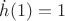 $\dot{h}(1)=1$