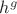 ${h^g}$
